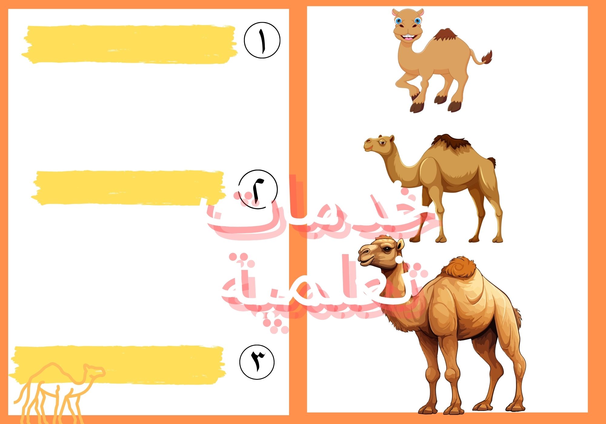 مطوية دورة حياة الجمل مفرغة