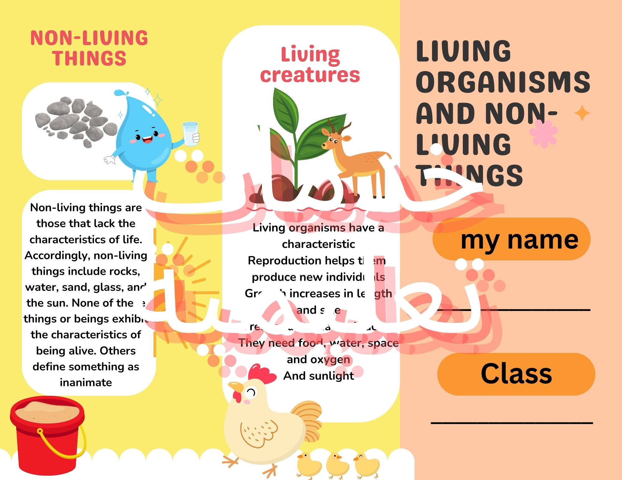 Living organisms and non-living things / مطوية المخلوقات الحية والاشياء غير الحية